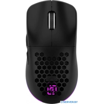 Игровая мышь Oklick 900GMW (черный)