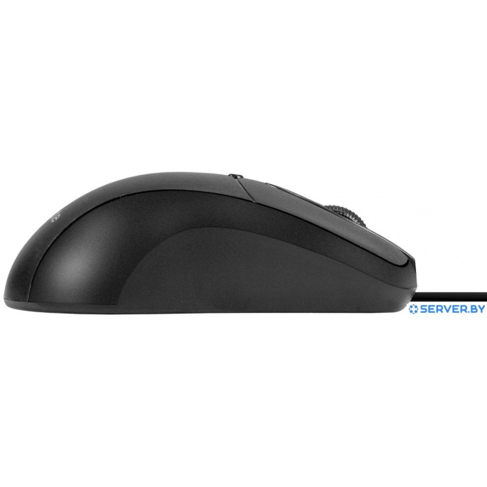 Мышь ExeGate Professional Standard B100L. Фото 5