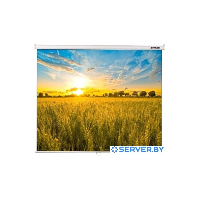 Проекционный экран Lumien Eco Picture 220x220 LEP-100110. Фото 1