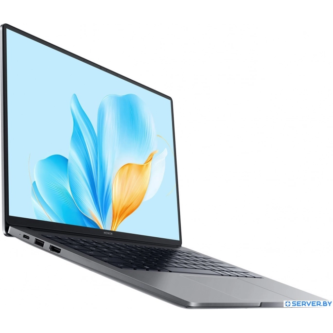 Ноутбук HONOR MagicBook X14 Plus 2025 FRB-X 5301ALWA. Фото 4