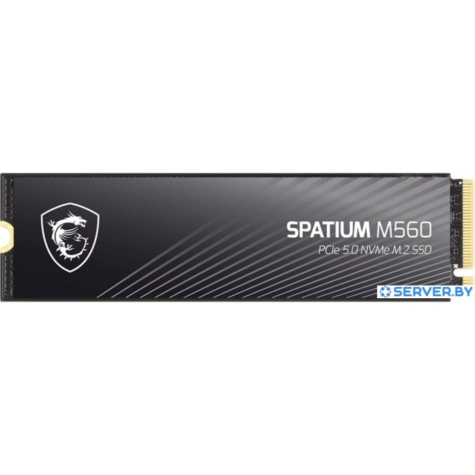 SSD MSI Spatium M560 2TB S78-440Q940-P83. Фото 1