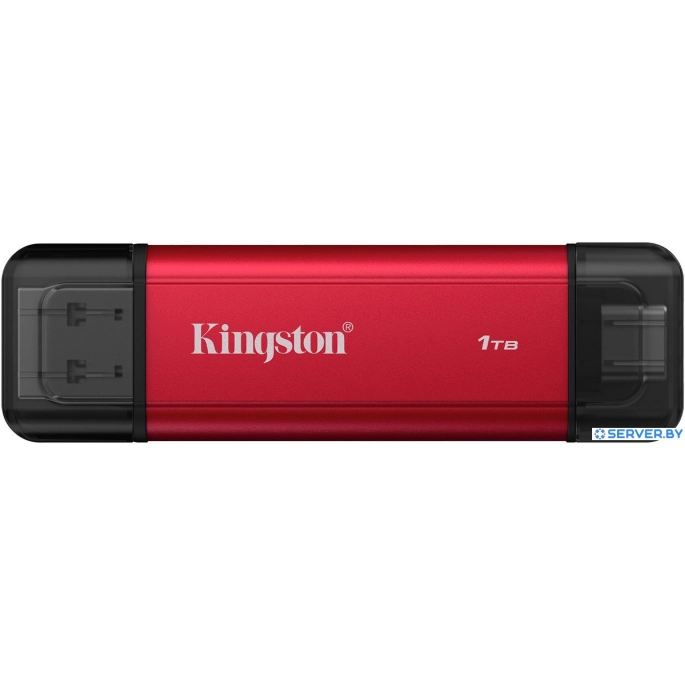 Внешний накопитель Kingston Dual Portable SSD SPSD/1TB. Фото1