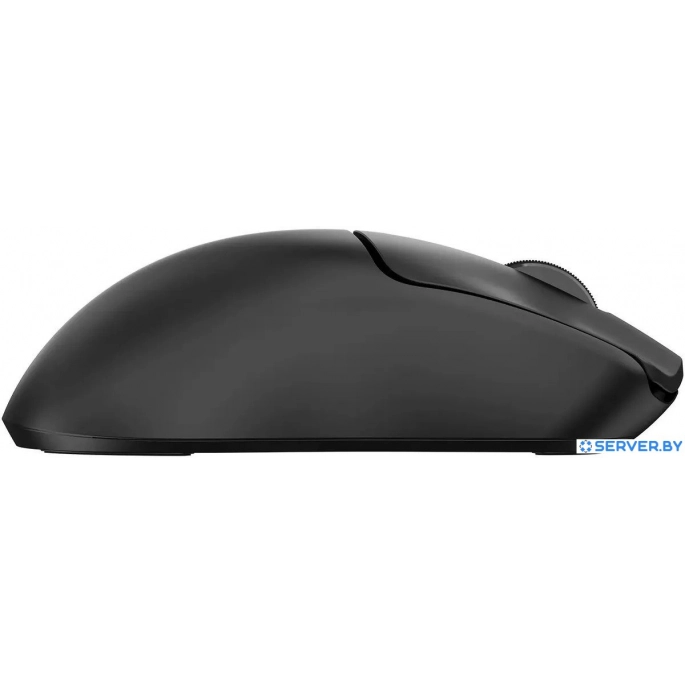 Мышь Acer OMR312 (черный). Фото2