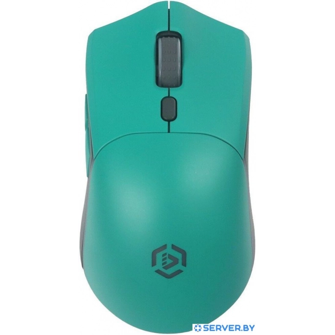 Мышь Raskat MG009WR. Фото1