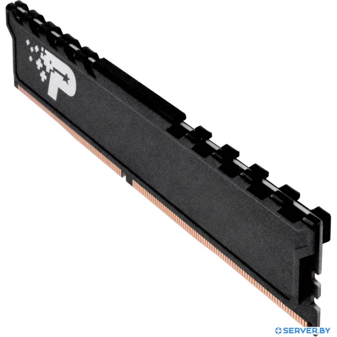 Оперативная память Patriot Signature Premium Line 16ГБ DDR4 3200 МГц PSP416G3200H1. Фото3