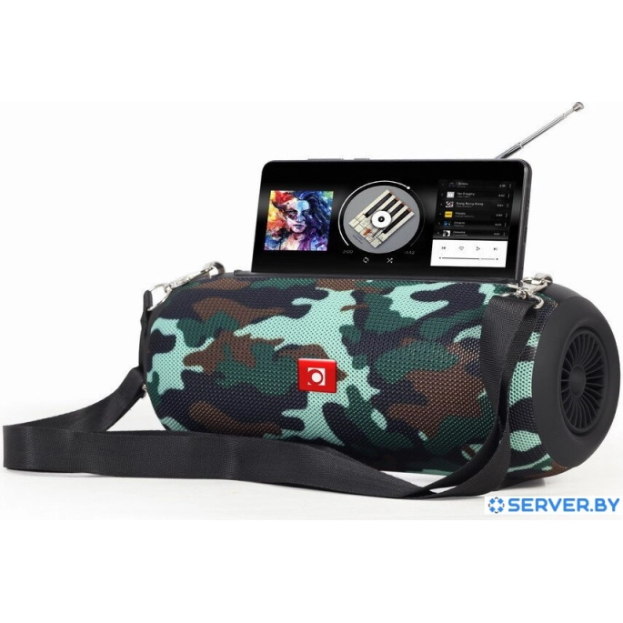 Беспроводная колонка GMB Audio SPK-BT-17-CM. Фото2
