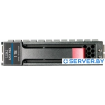 Жесткий диск HP 2TB [658079-B21]