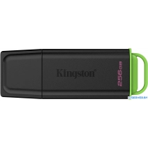 USB Flash Kingston DataTraveler Exodia 256GB DTXG2/256GB