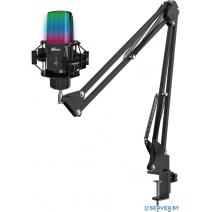 Проводной микрофон Ritmix RDM-270 (черный)