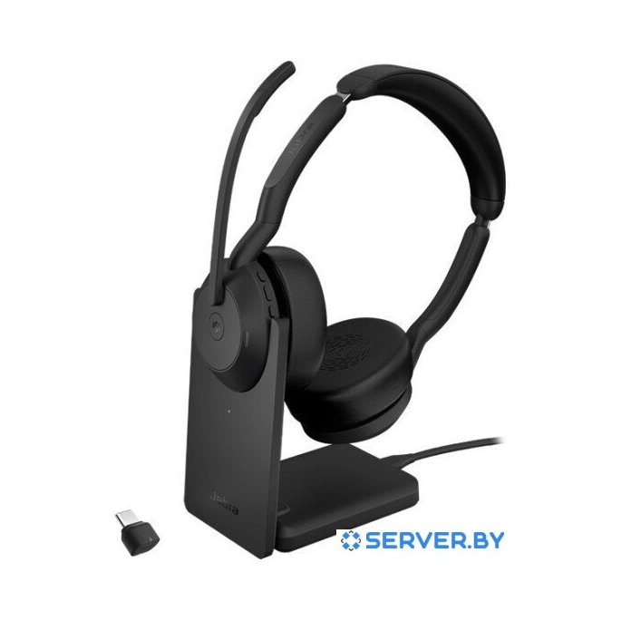 Офисная гарнитура Jabra Evolve2 55 MS Stereo Stand USB-C. Фото1