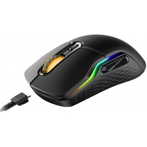Игровая мышь Rapoo VT200