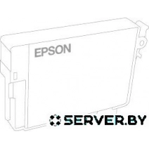 Картридж Epson C13T49N100