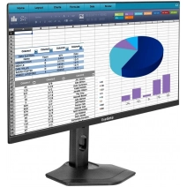 Монитор ExeGate ProSmart EH2407CA EX299034RUS
