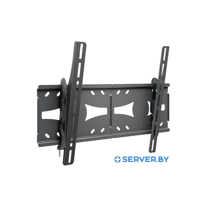 Кронштейн Holder LCDS-5071. Фото1