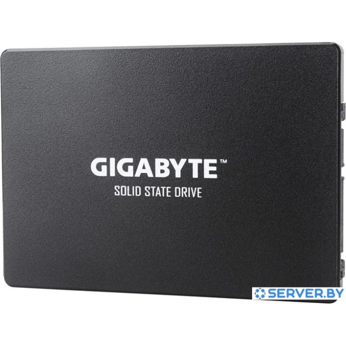 SSD Gigabyte 256GB GP-GSTFS31256GTND. Фото 1
