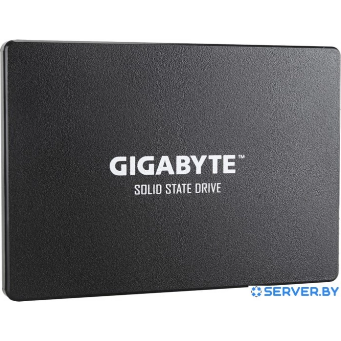 SSD Gigabyte 256GB GP-GSTFS31256GTND. Фото 2