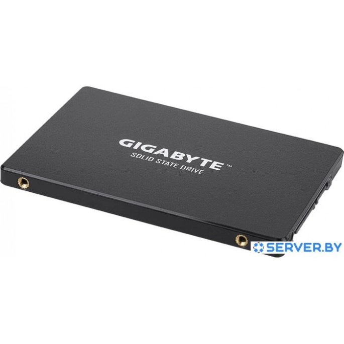 SSD Gigabyte 256GB GP-GSTFS31256GTND. Фото 3