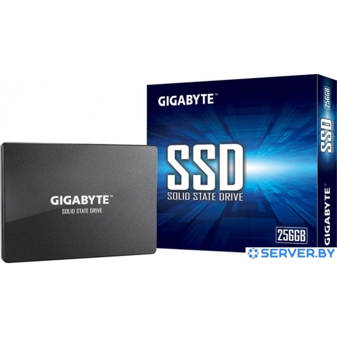 SSD Gigabyte 256GB GP-GSTFS31256GTND. Фото 4