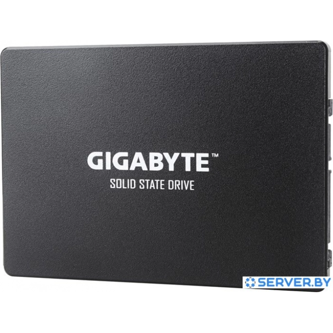 SSD Gigabyte 1TB GP-GSTFS31100TNTD. Фото1