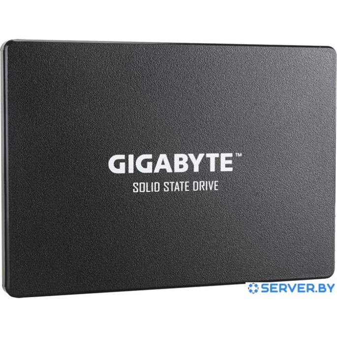 SSD Gigabyte 1TB GP-GSTFS31100TNTD. Фото2