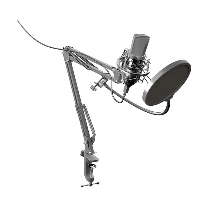 Микрофон Ritmix RDM-169. Фото1